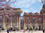 Image shows artists impression of red brick town hall with blossom trees in front 